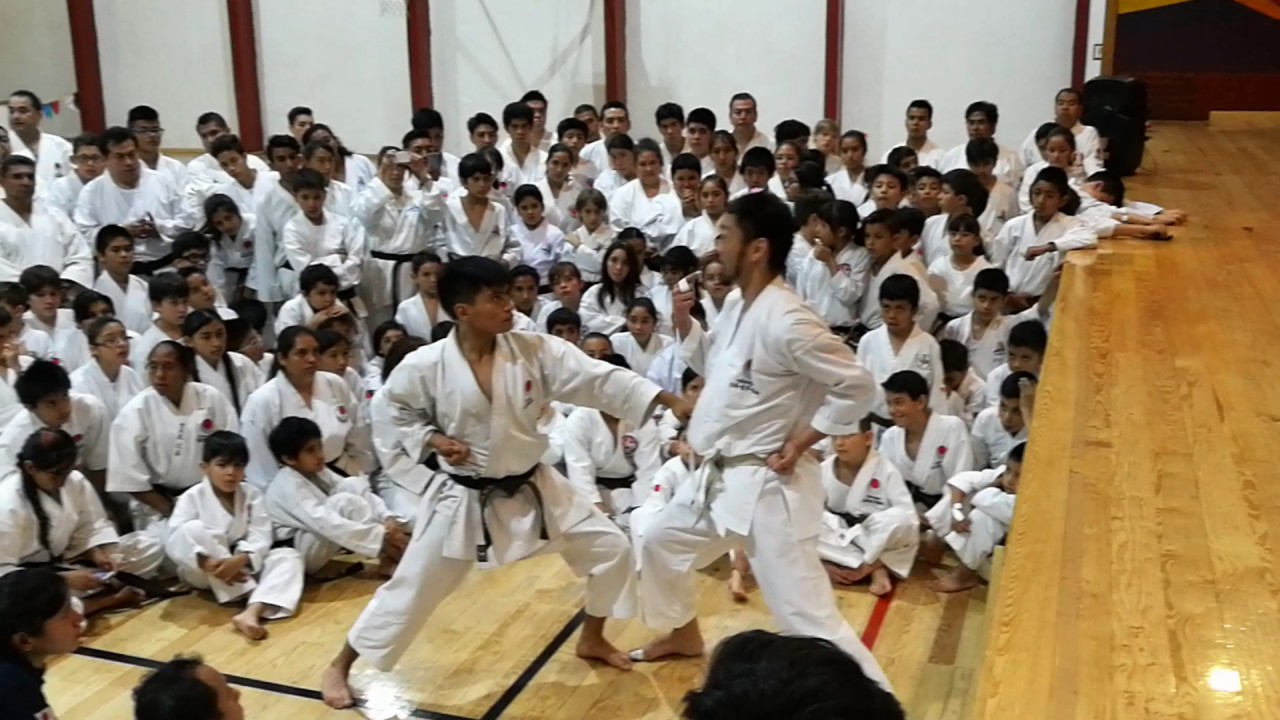 Ryosuke Shimizu -mayo 2017 México (5)