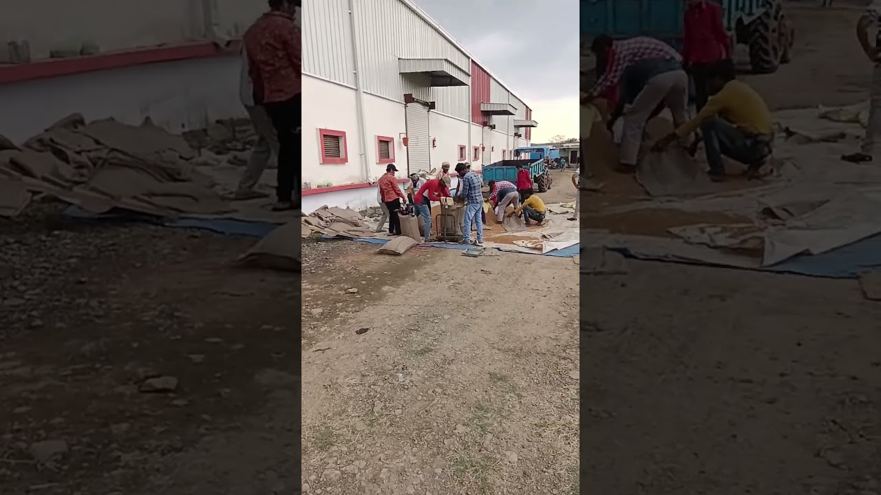 चनो की खरीदी|चना को MSP पर 1एकड पर कितना खरीदा|purchase of chickpeas #shortvideo #shortviral #shorts