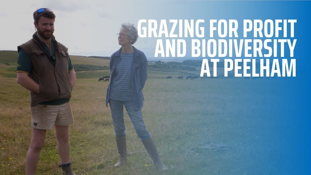 Grazing for Profit and Biodiversity at Peelham