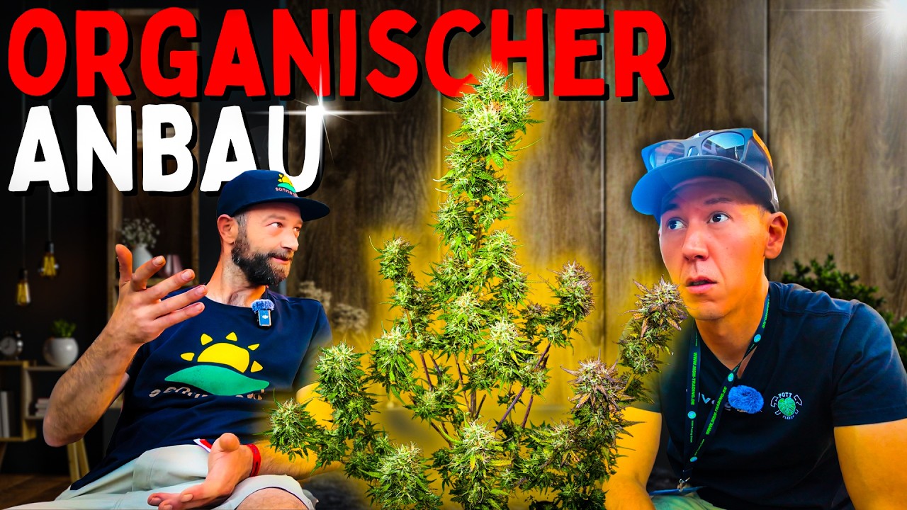 Darum baut ER nur noch ORGANISCH an 😱 Einfach und gut in 4 Schritten! Düngen und Living Soil?