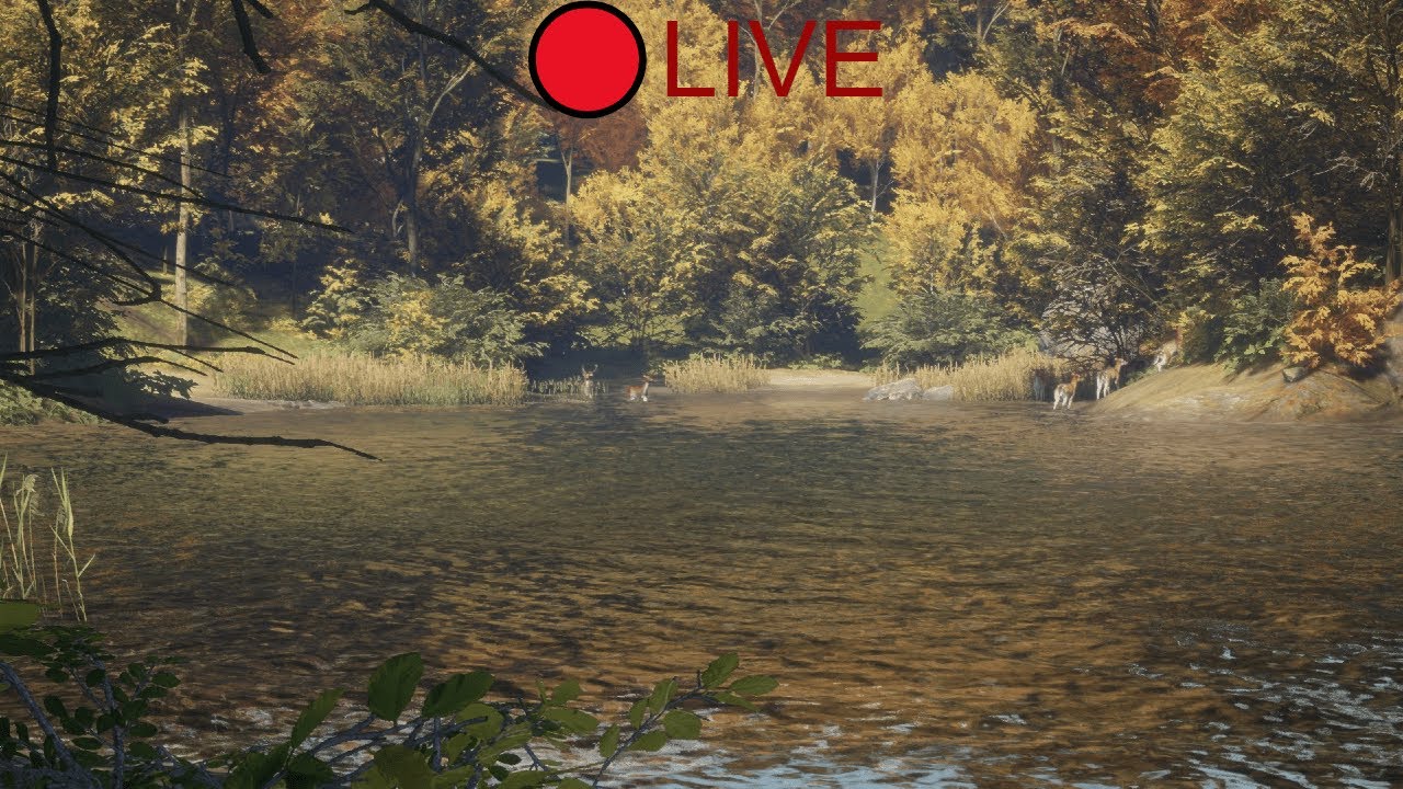Hunting LIVE! Then Arc Raiders! #HunterCOTW #CallOfTheWild #GreatOne #Hunting #Hunts #arcraiders