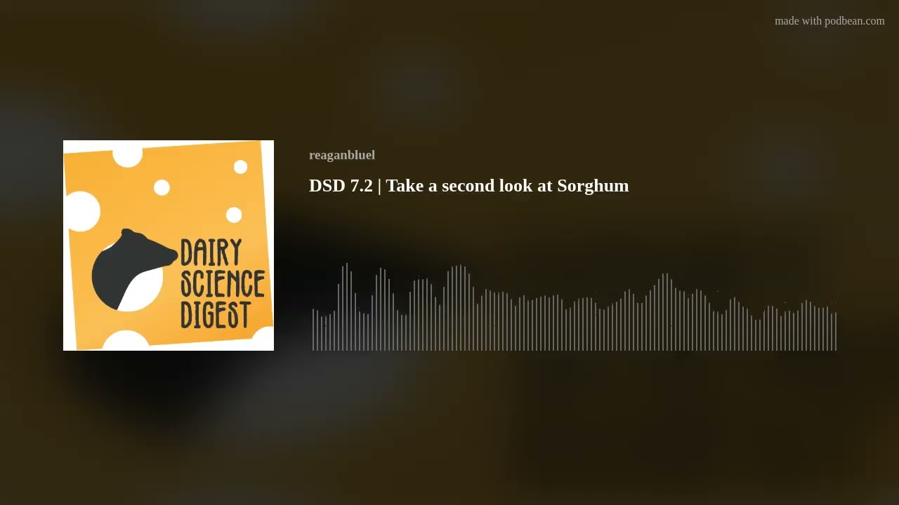 DSD 7.2 | Take a second look at Sorghum