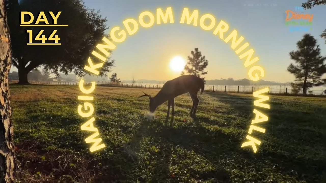 LIVE: Disney World Morning Walk at Magic Kingdom — Calm & Beautiful | Day 144 | #TDWSS