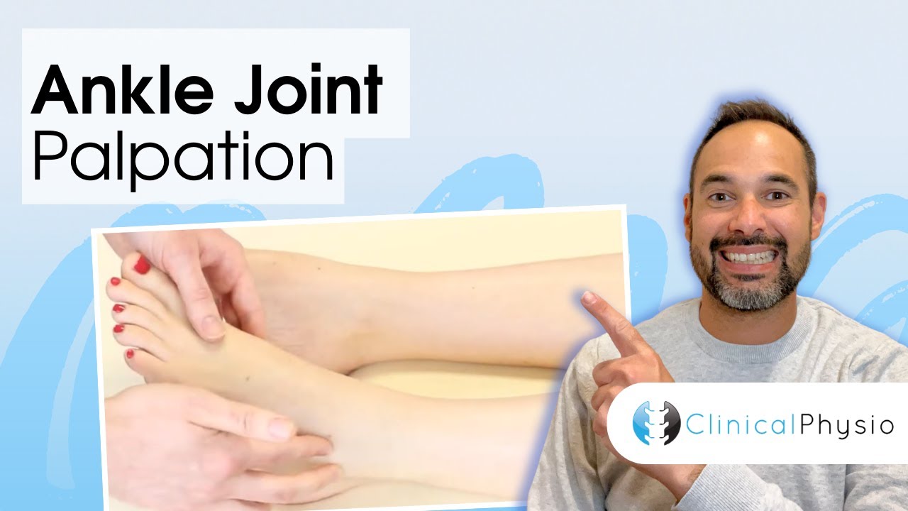 Ankle Joint Palpation | Clinical Physio