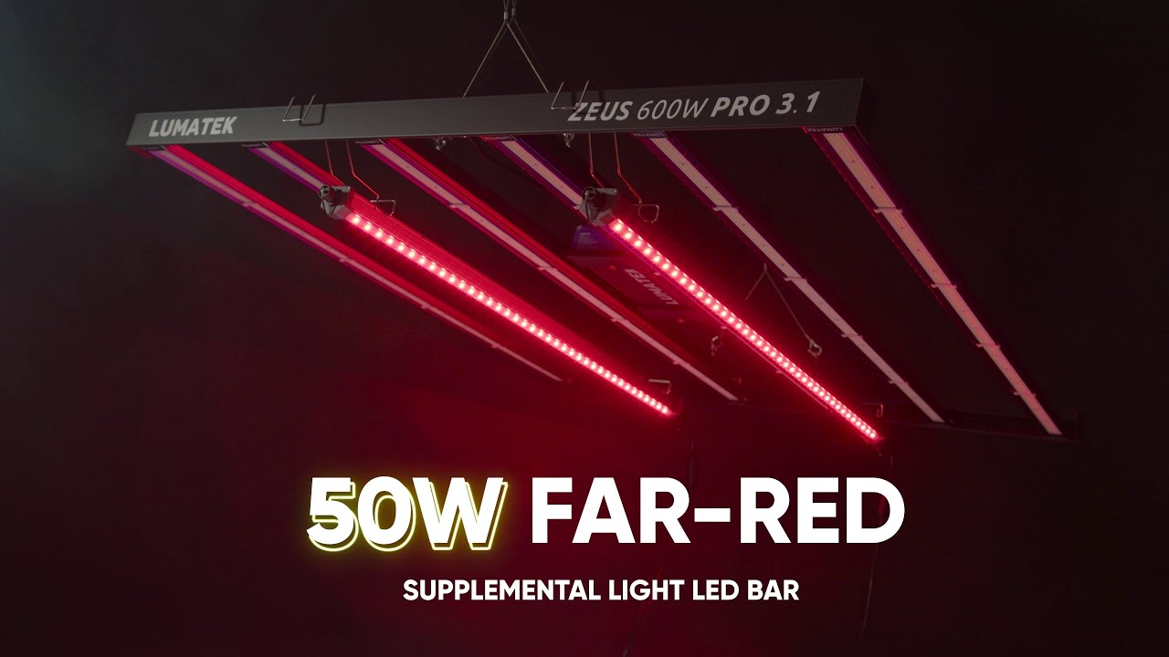 LUMATEK EU | 50W FAR-RED LED BAR