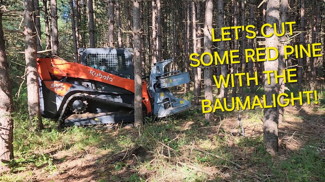 BAUMALIGHT FGS952 HOTSAW CUTTING RED PINE