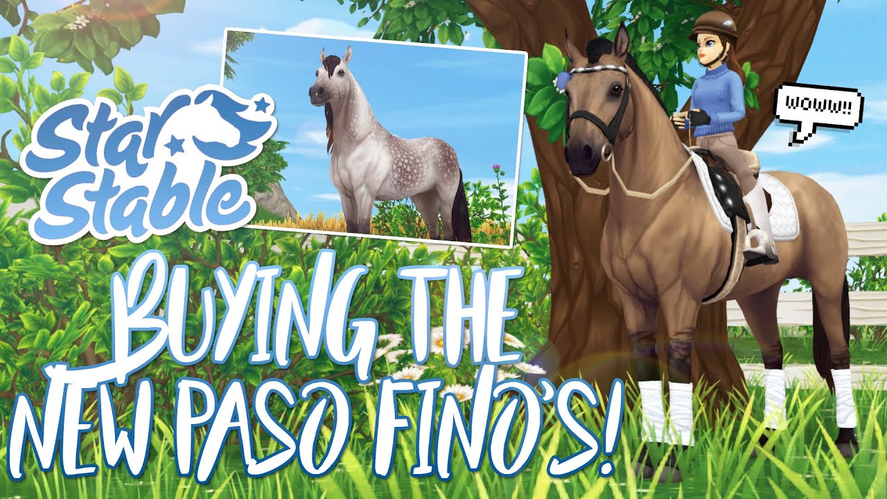 Buying the NEW Paso Fino horses! | Star Stable Updates