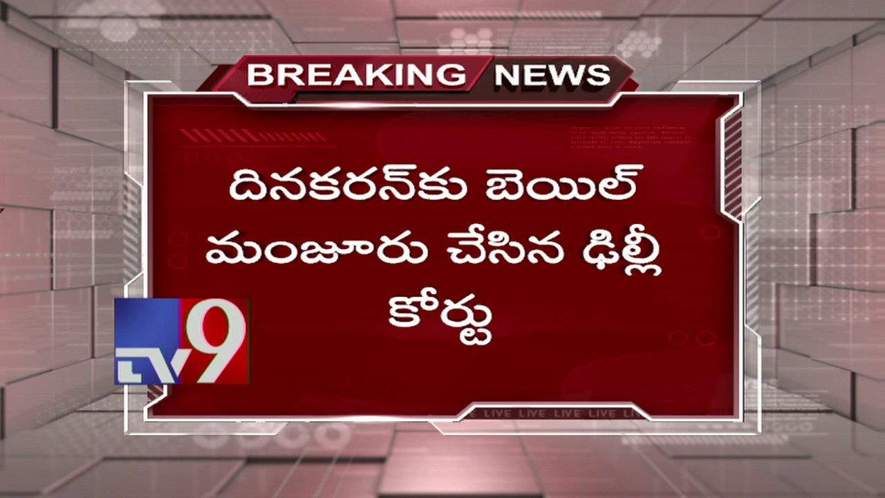 Delhi court grants bail to TTV Dinakaran in EC bribery case - TV9