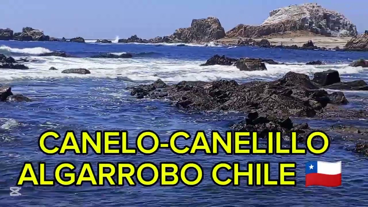 🌊HERMOSO😍CANELO-CANELILLO ALGARROBO CHILE🇨🇱 (Grabado 07/Dic/2024)