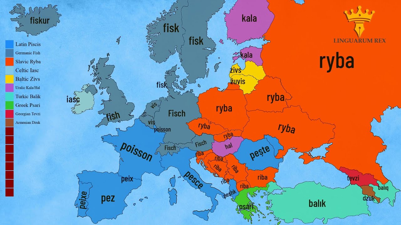 Wild Animals Across 42 Languages | European Languages Comparison