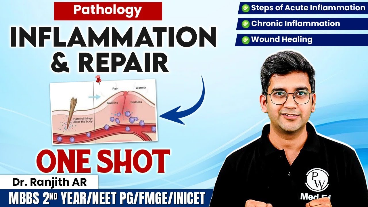 Pathology | Inflammation (Acute, Chronic & Wound Healing)ONE SHOT| MBBS 2nd Year/NEET PG/FMGE/INICET
