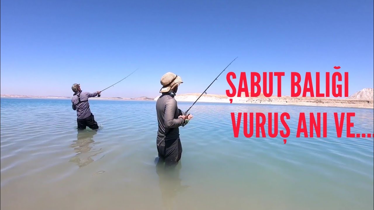 Охота на эндемичных рыб Турции, Carasobarbus Luteus