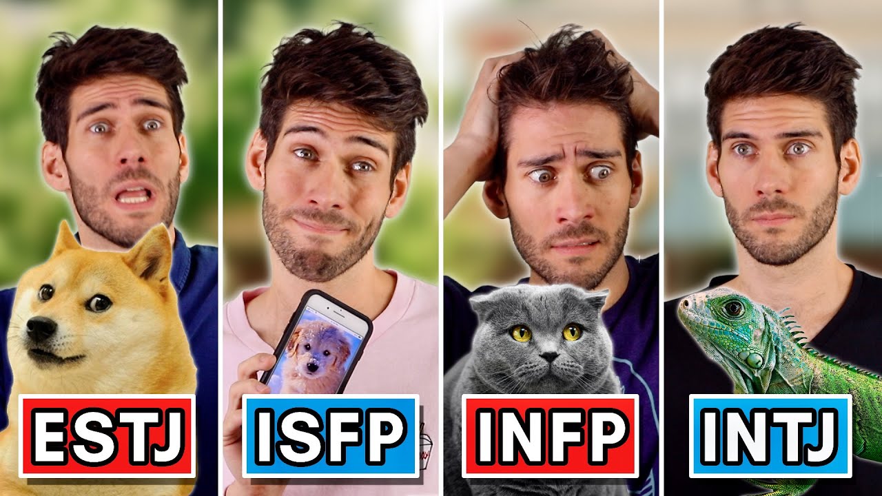 16 Personalities as Pet Owners