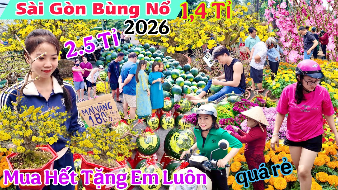 Sài Gòn Bùng Nổ Tết 2026 khu tên lửa Mai Vàng tiền tỉ lộ, Bông vạn thọ ,cúc cầu cứu 2 giá rẻ Ế luôn