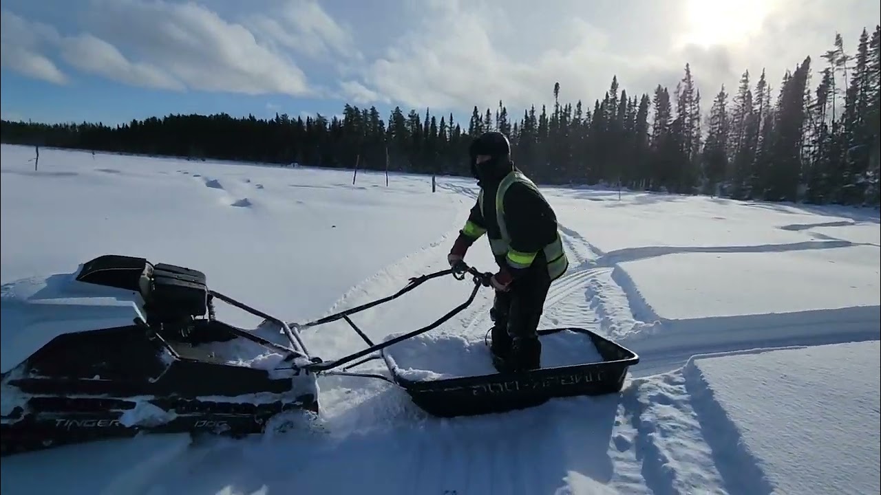 snowdog (tingerdog)