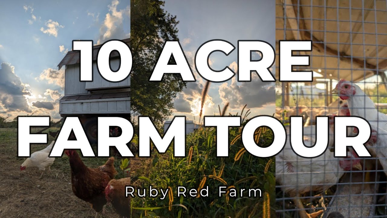 10 Acre Homestead Tour | Full Look at Our Small Farm | Chickens, Pigs, Turkeys, and Garden Ep. 52