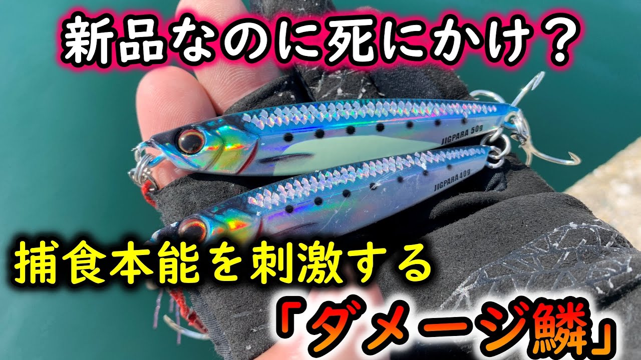 【弱弱】ジグパラ新作「ダメージ鱗」を堤防から投げたら１人勝ちでした【ライトショアジギング】