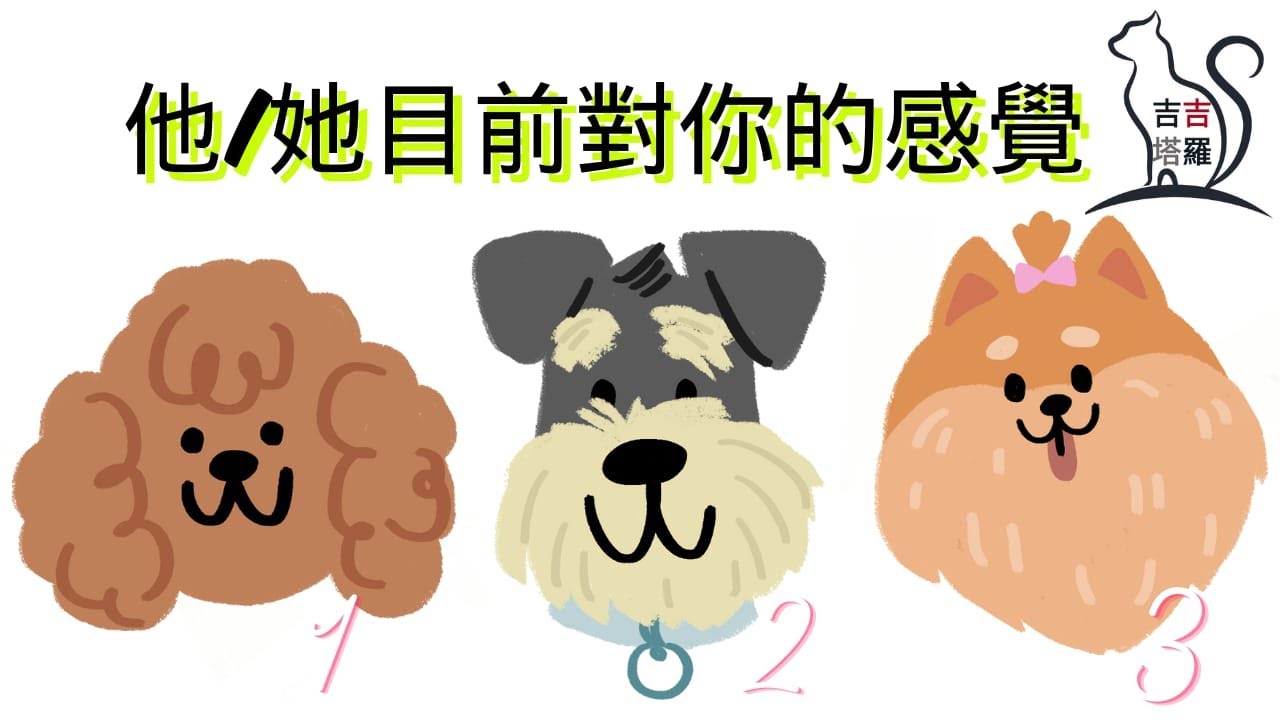 ❤️塔羅占卜 | 他/她目前對你的感覺 | 選個當下最想多看幾眼的狗圖案 (Timeless) 【#吉吉384】