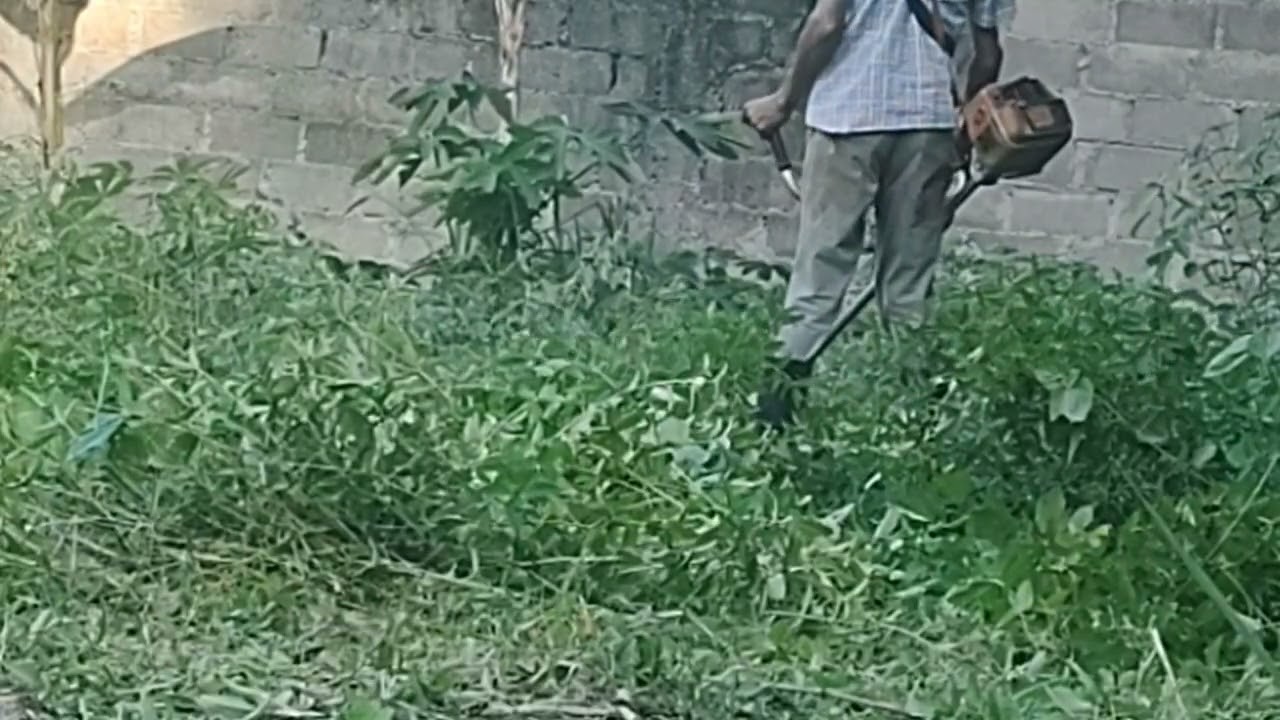 Mas um vídeo de limpeza de roça 🙏#roça #sitio  muito obrigado por assistir...🙏🌿
