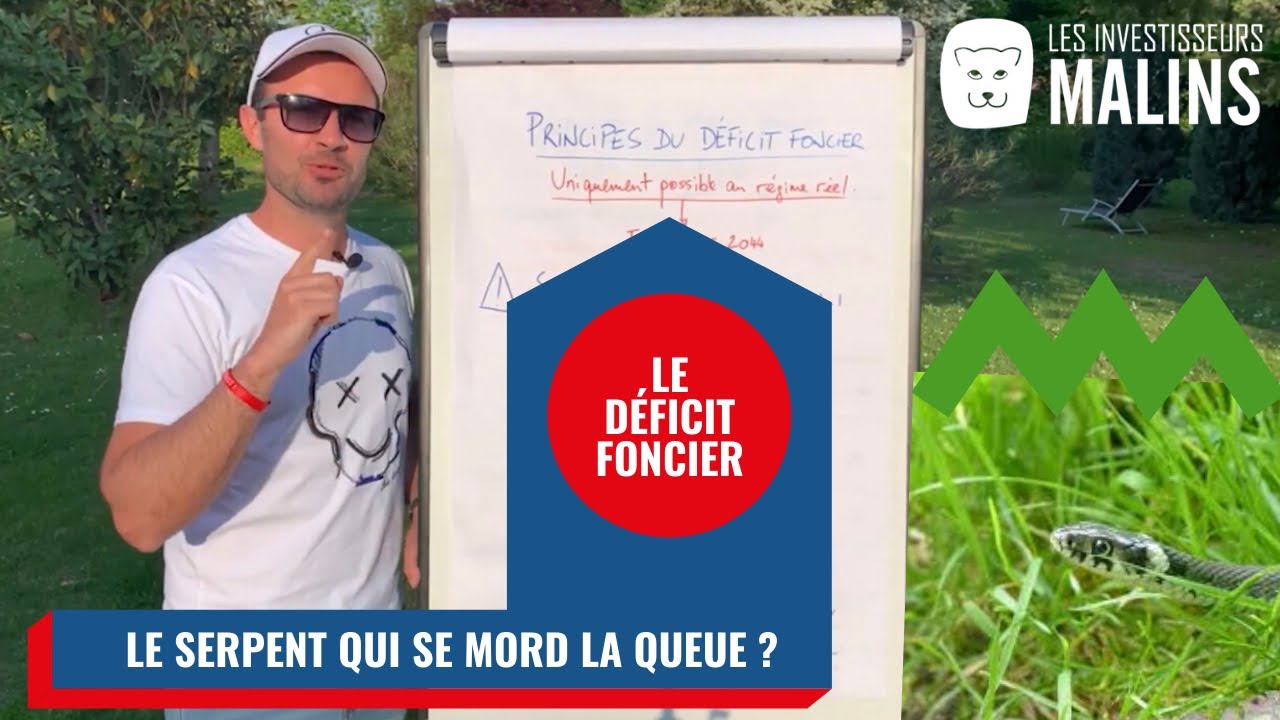DÉFICIT FONCIER pour payer MOINS D'IMPÔTS? C'est plutôt le SERPENT qui se mord la QUEUE!