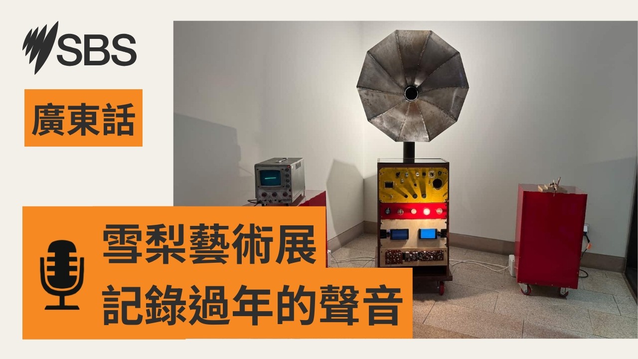 「爆竹回聲」藝術展 農曆新年的聲音與回憶 | SBS Cantonese - SBS廣東話節目