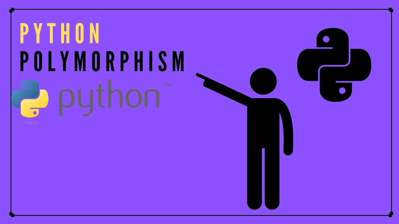 Unraveling Python Polymorphism: Exploring the Many Faces of Programming Flexibility