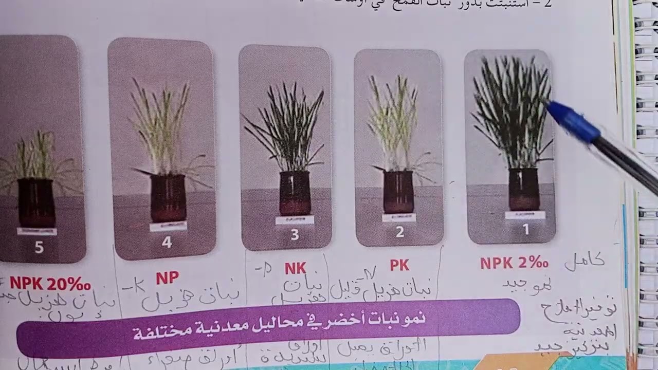 مراجعة علوم طبيعية الفصل الثانى سنة 1متوسط التغذية عند النبات الأخضر ملخص رائع