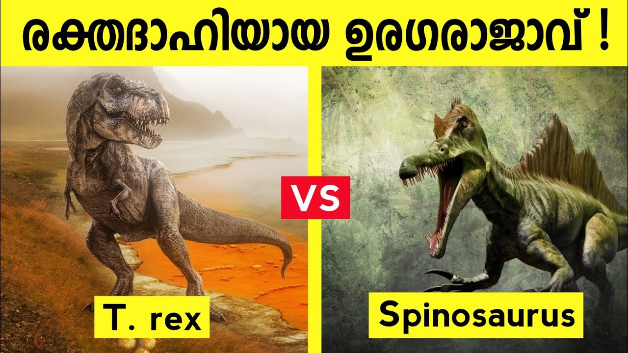 Tyrannosaurus rex and Spinosaurus Interesting Facts Malayalam | Dinosaurs Malayalam Video | T. rex