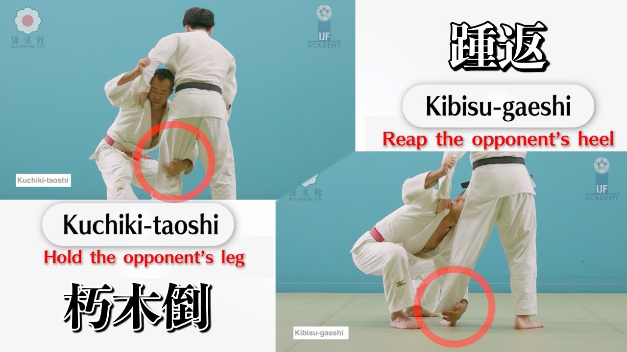 朽木倒 & 踵返 / Kuchiki-taoshi & Kibisu-gaeshi