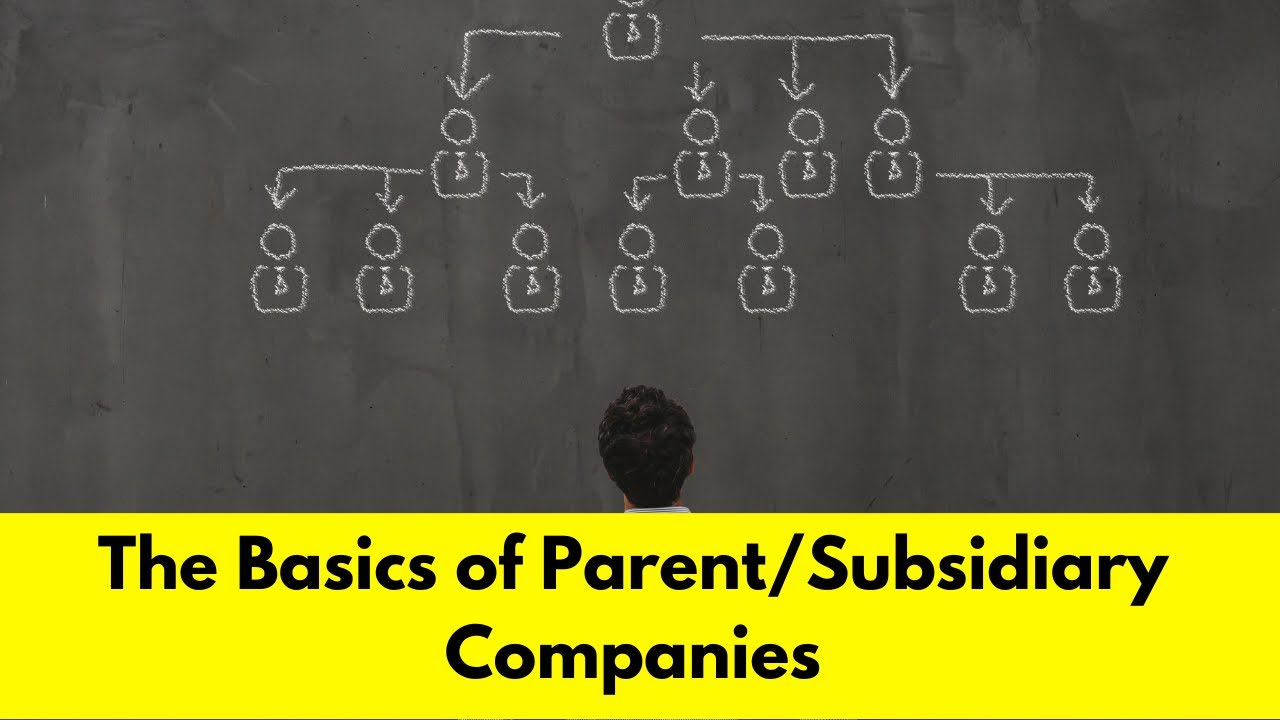 The Basics of Parent/Subsidiary Companies #business #businesslaw #corporations