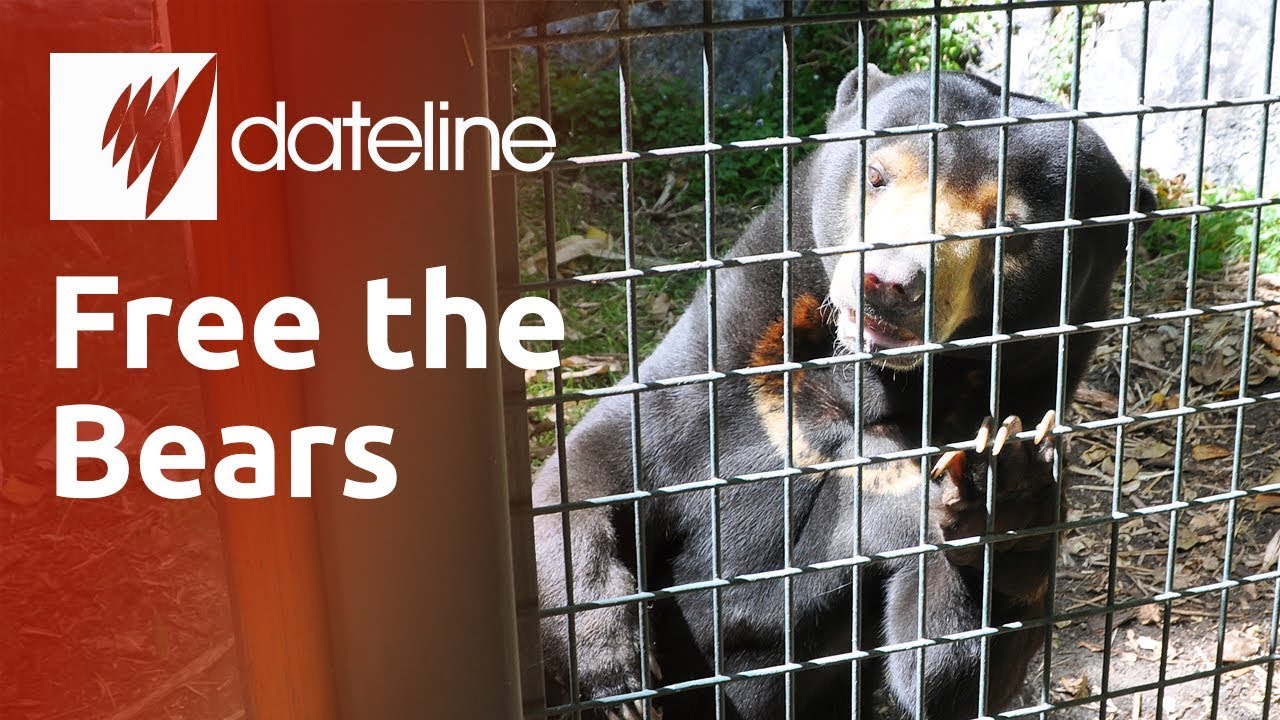 Free the Bears