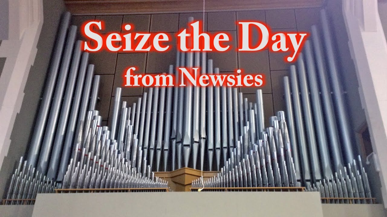 Seize the Day (Organ Cover) from Newsies