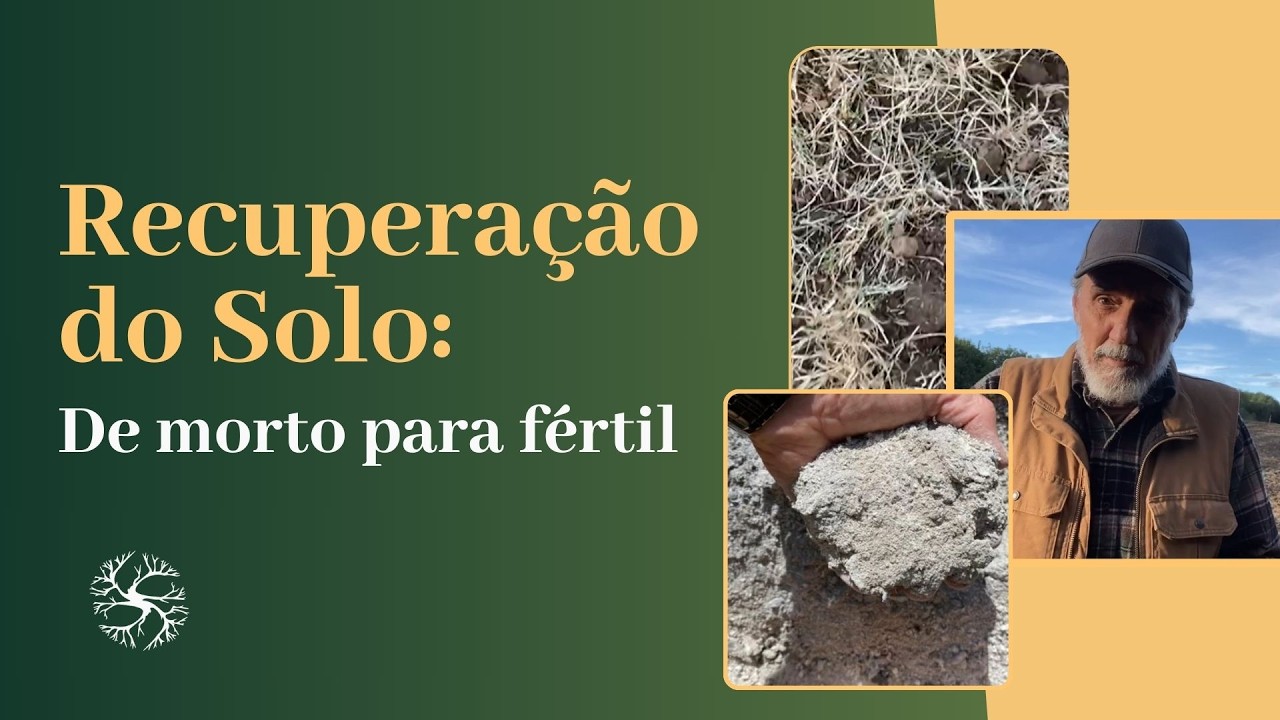 Como Regenerar Um Solo Degradado - Com Joao Rockett