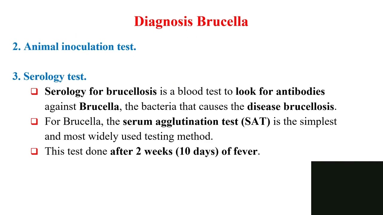 Immunology Lec 7 Brucella