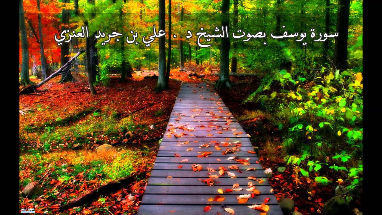 سورة يوسف - علي جريد