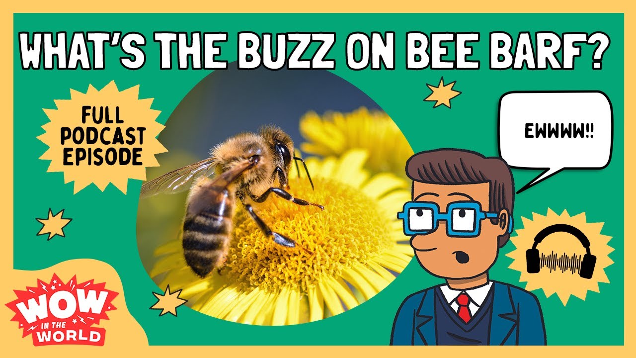 What's the Buzz on Bee Barf?!  | Wow in the World | Kids Podcast Episode | Science for Kids