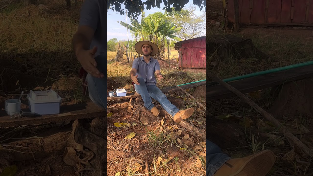 COMPREI um S&iacute;tio de 25 Hectares em Poxor&eacute;u MT (Todo o processo de como consegui adquirir)