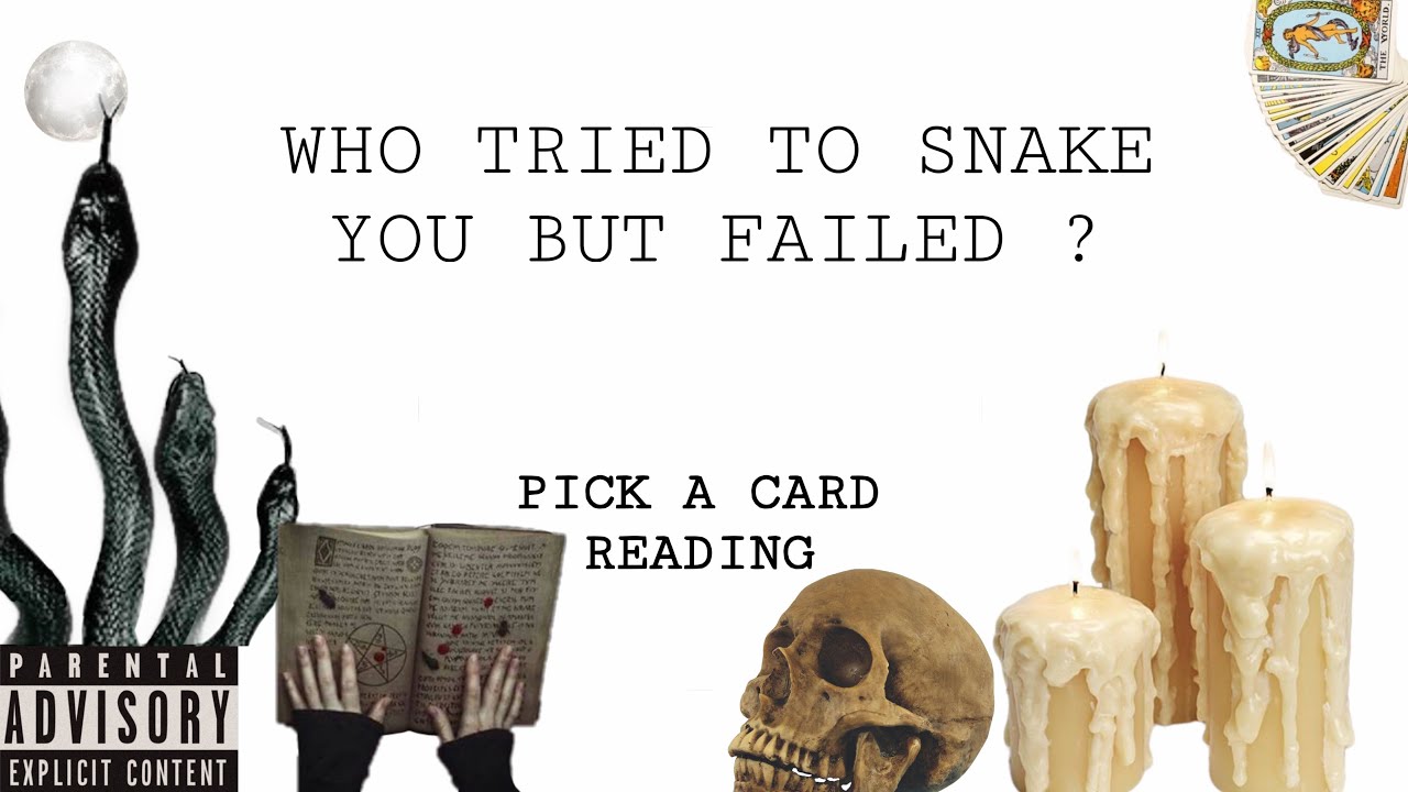 (PICK A CARD) WHO TRIED TO SNAKE YOU BUT FAILED ?!!! WHAT HAPPENED!?