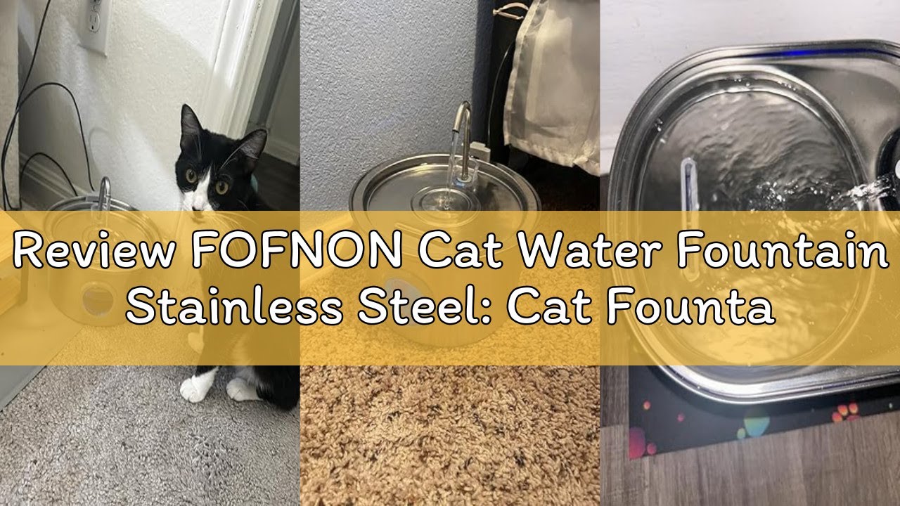 Review FOFNON Cat Water Fountain Stainless Steel: Cat Fountain for Drinking - 108oz/3.2L Pet Water F