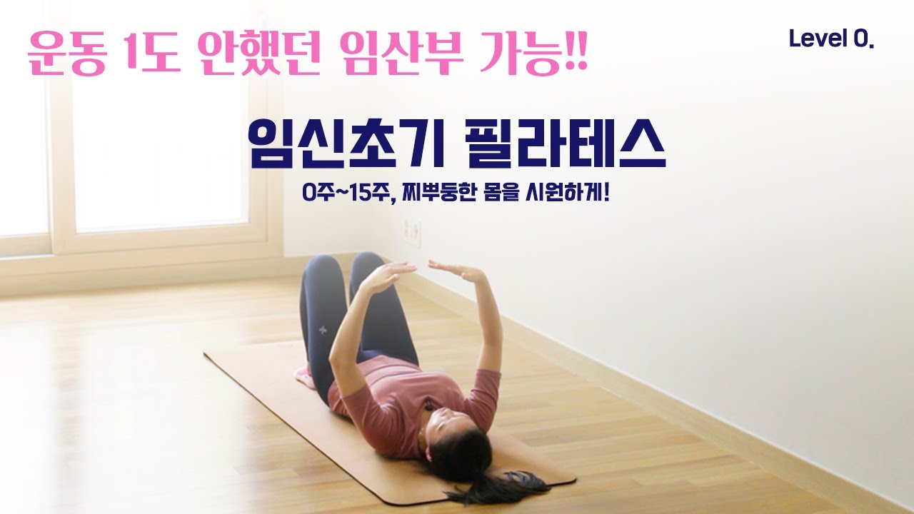 임산부 필라테스 운동안했던 임산부도 임신초기 운동으로 딱좋아요! (by. 노은혜 )