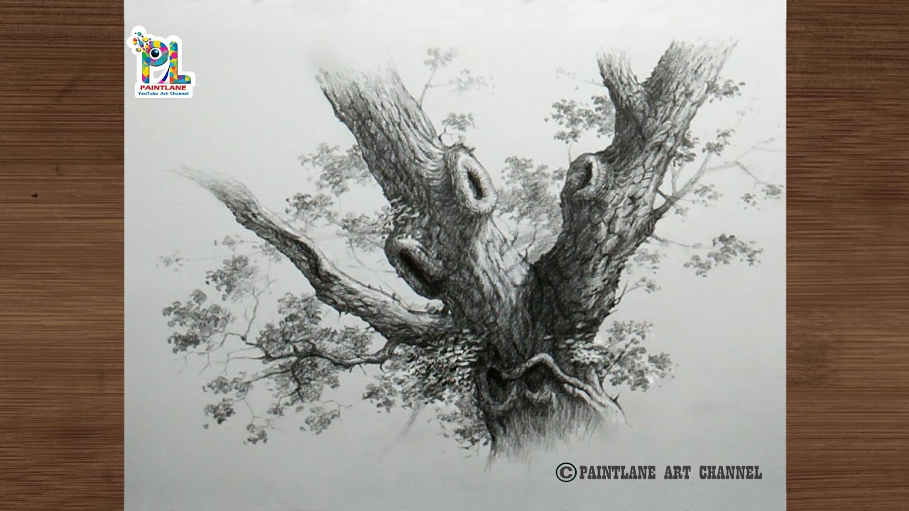 How to draw and pencil shading with detailed tree branches step by step pencil art || Tree Drawing