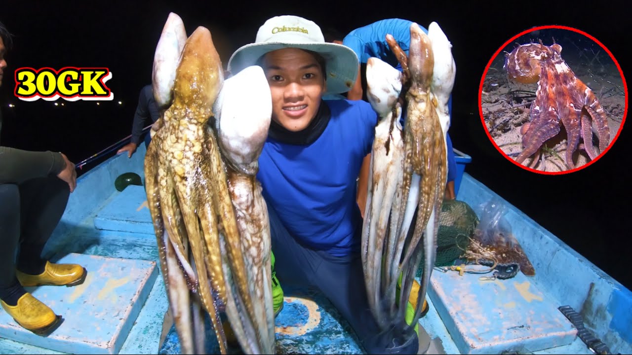Lặn Biển Phát Hiện Nguyên Bầy Bạch Tuộc Khổng Lồ | Bắt Mực Mỏi Tay