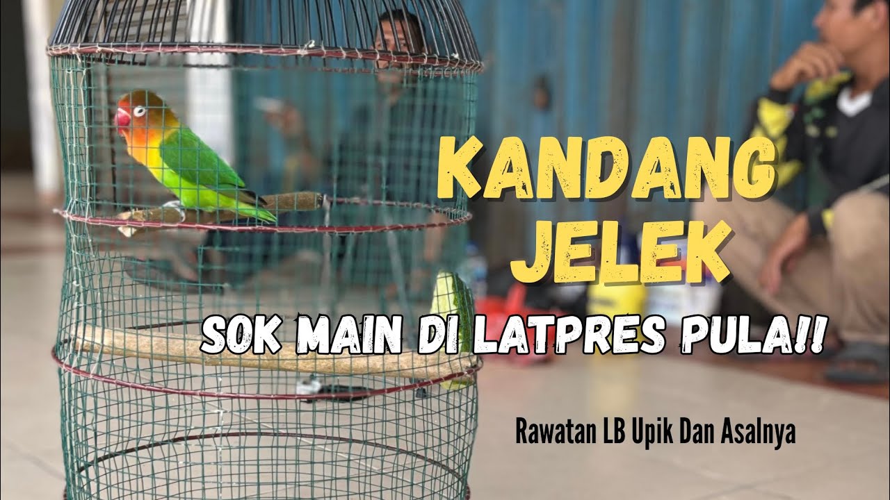 Kandang jelek bukan berarti isinya ikut jelek !!!
