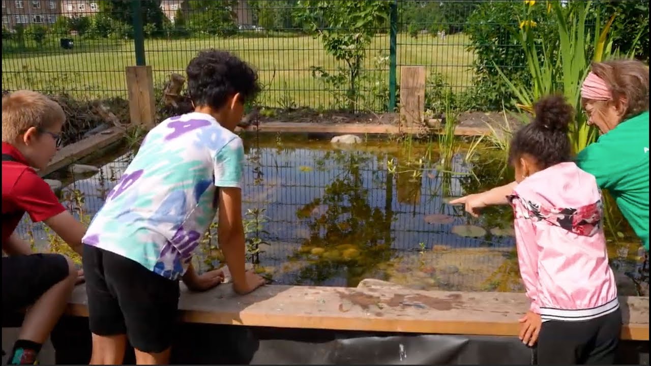 Spectacular new pond at Hackney Marsh Adventure Playground