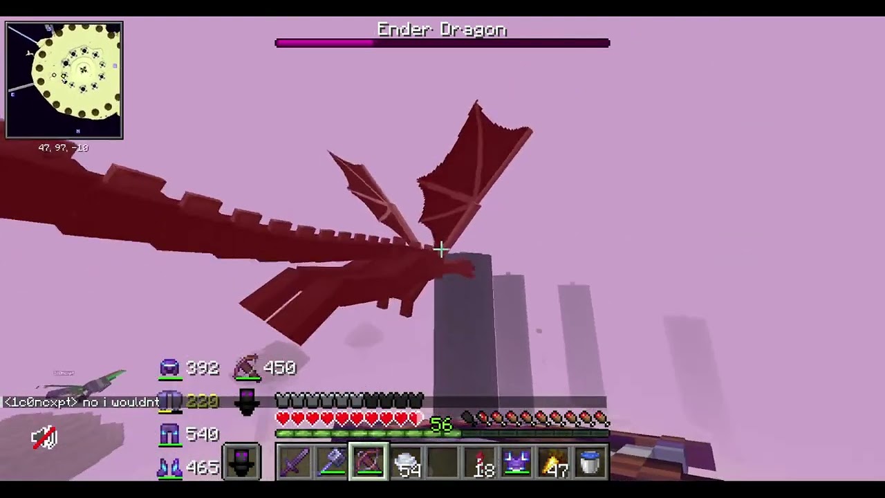 Squid SMP: Killing the Ender Dragon.