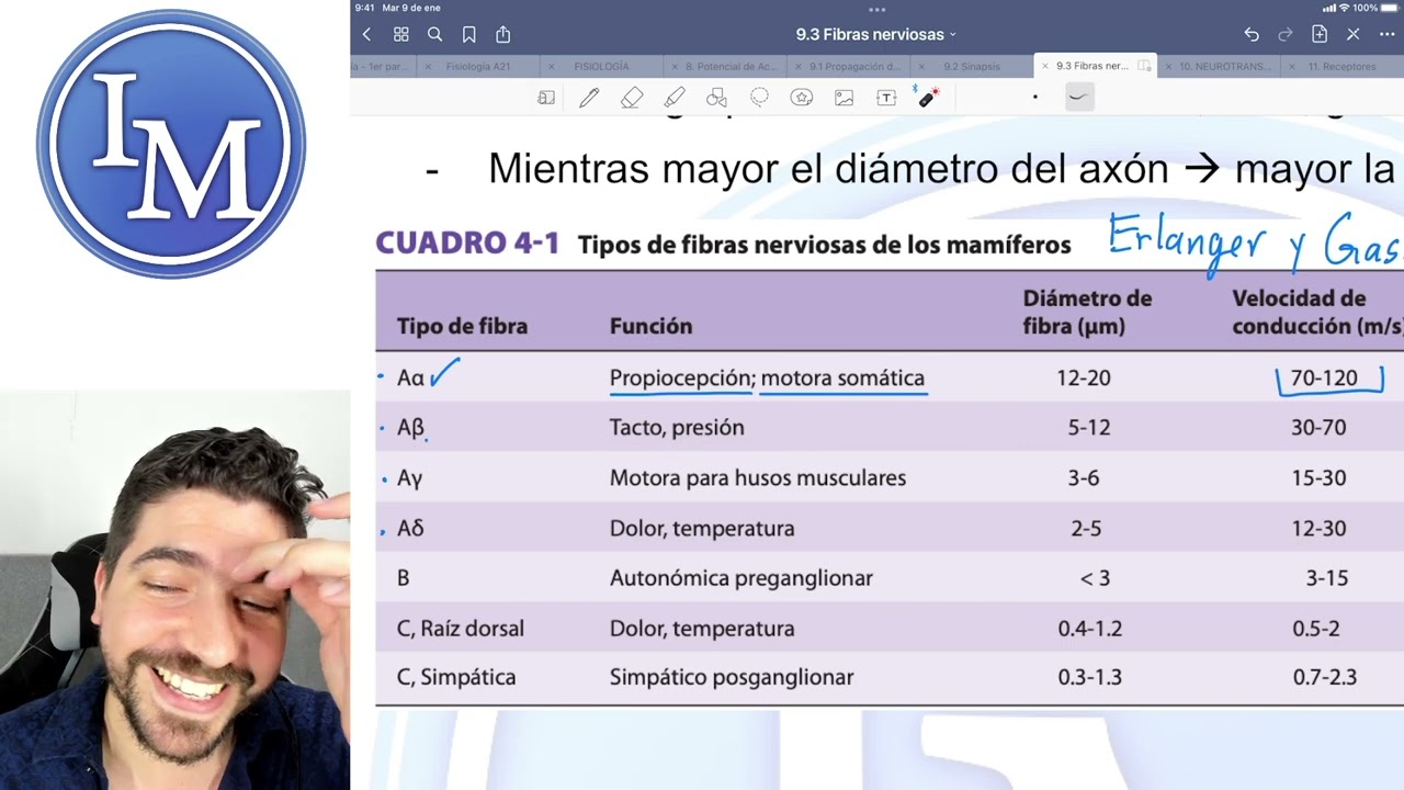 Fisiología clase 9.3 | Fibras Nerviosas