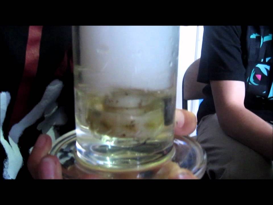 Mobius Reti Perc Bubbler