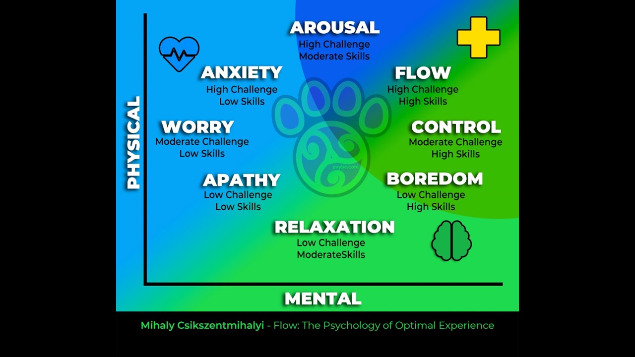 PLAY+ Podcast - Flow Theory Part 1 | Tuning Engagement by Aiming for Flow