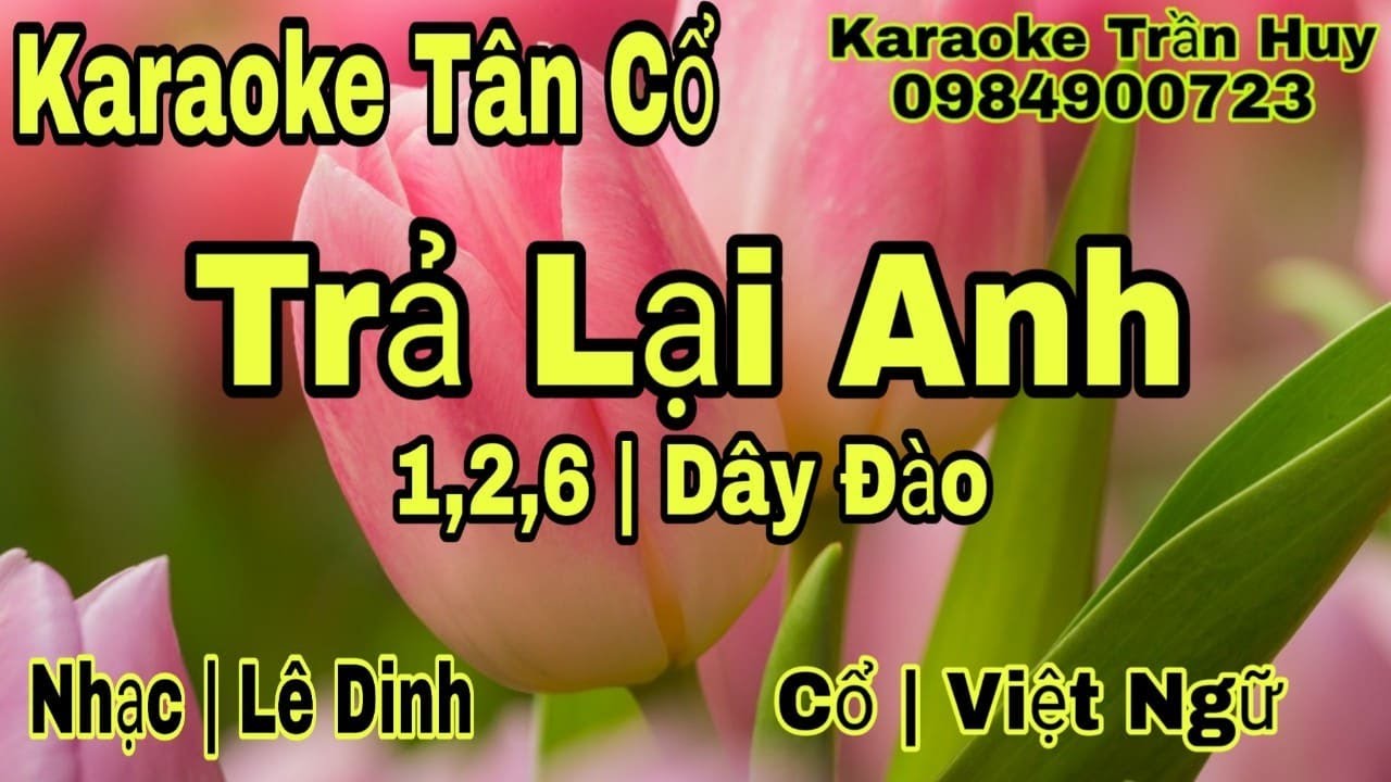 Karaoke Tân Cổ | Trả Lại Anh | 1,2,6 Dây Đào | Beat Trần Huy 2020