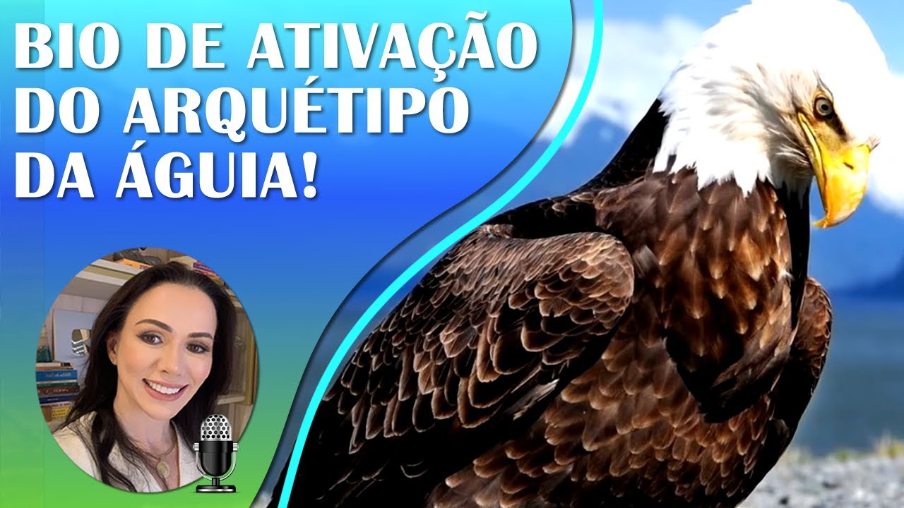ARQUÉTIPO DA ÁGUIA - ANIMAL DE PODER  - 